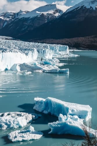 Argentine