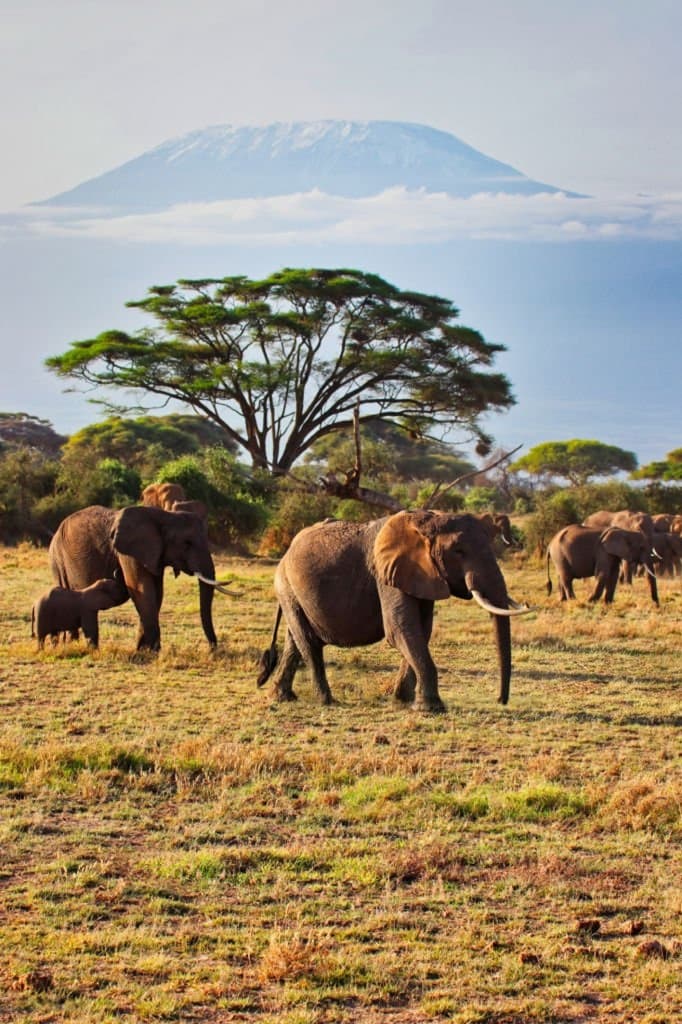 Tanzanie
