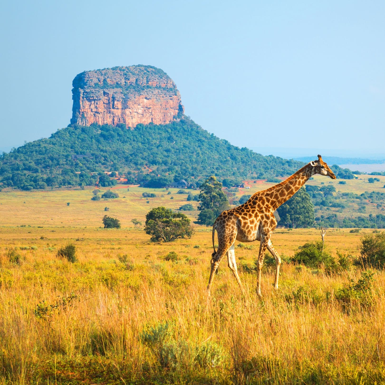 Afrique du Sud